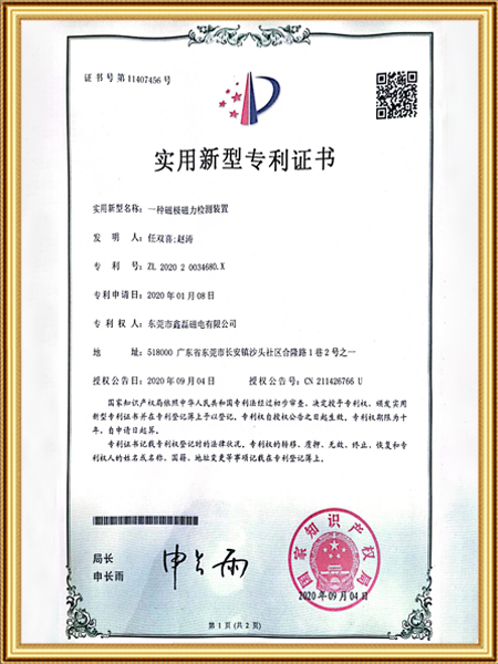 一种磁极磁力检测装置...